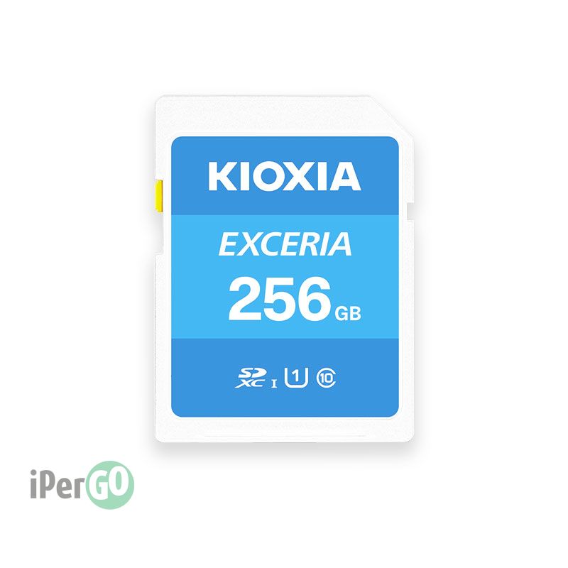 KIOXIA EXCERIA - Scheda di memoria SD da 16 a 256